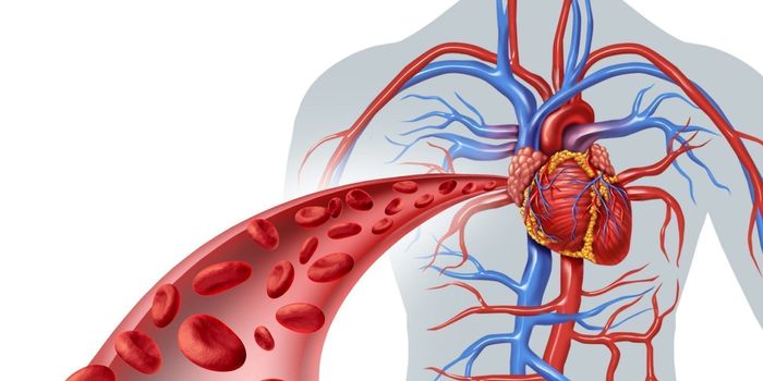 Qué es la hiperhomocisteinemia conocer sus causas síntomas tratamiento diagnóstico